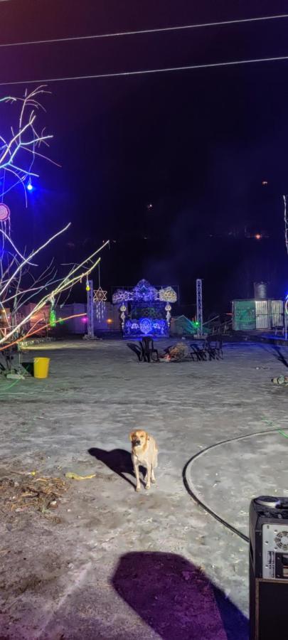 Stayhigh Camps & Cottages Касоль Экстерьер фото